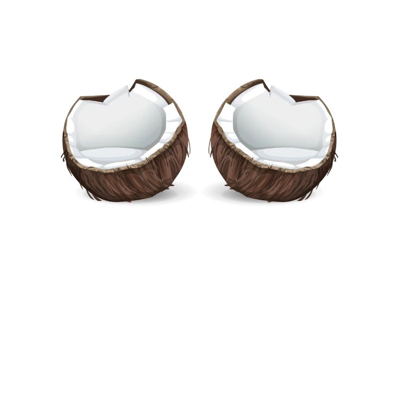 Coconuts bikini beach bra costume carnival coconut