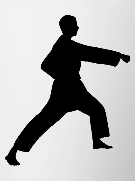 Punsch Karate oder Teakwondo Punsch