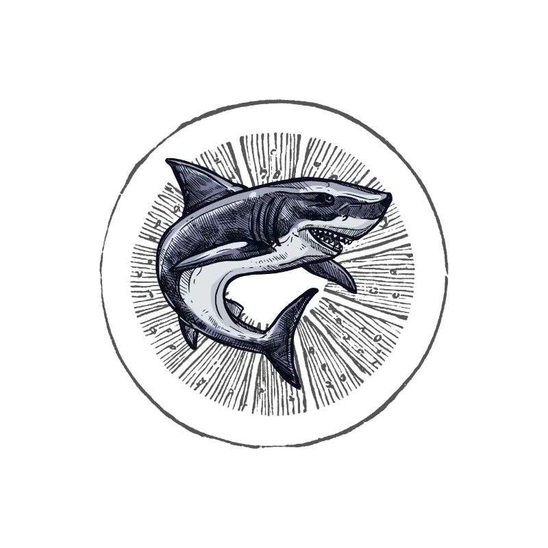 Dancing Shark