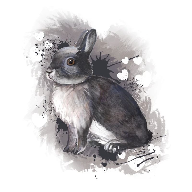 Lapin lapin