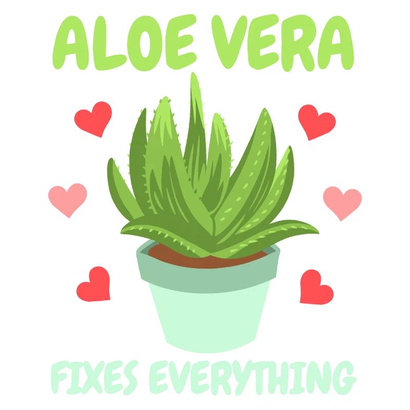 Aloe Vera Succkulente
