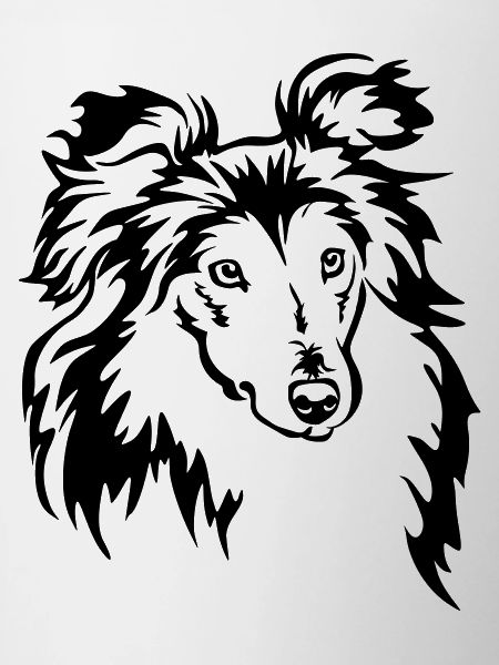 Sheltie Head