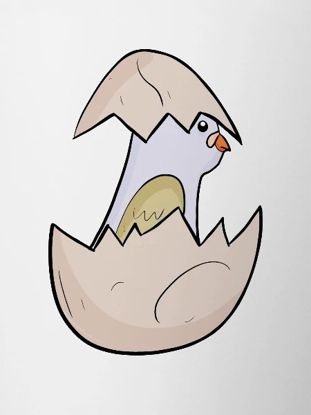 Bébé Pigeon - Bébé Oiseau