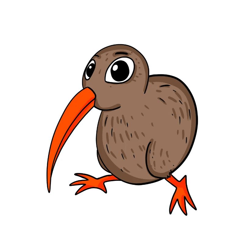 Kiwi Kiwis Bird Gift
