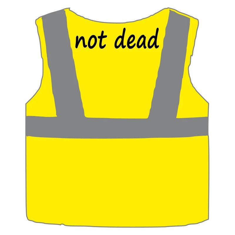 Yellow vest