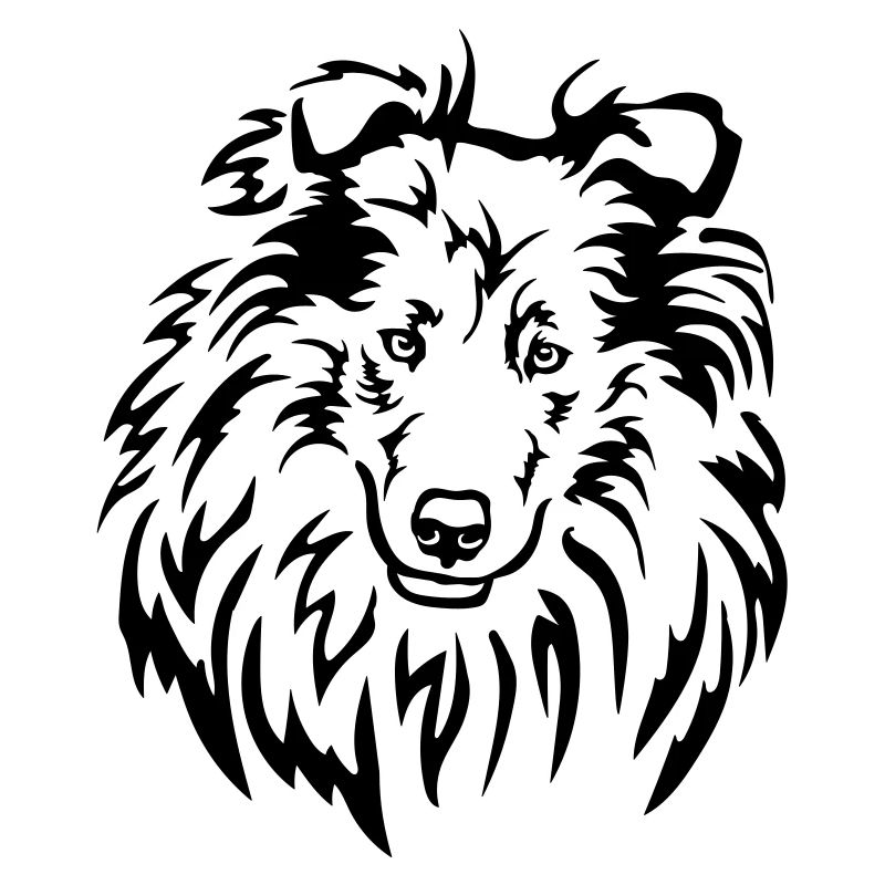 Collie Kopf