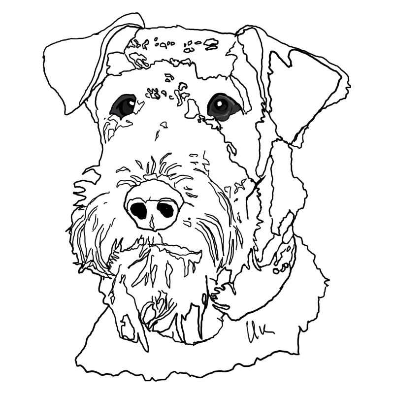 Airedale Terrier