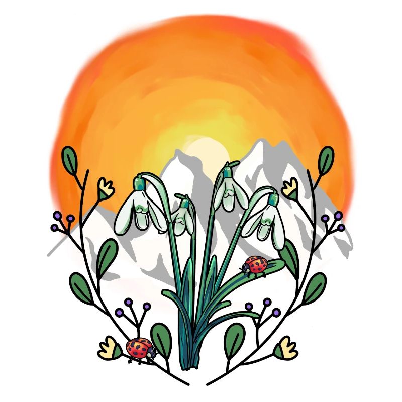 Sunshine Spring Snowdrop Austria