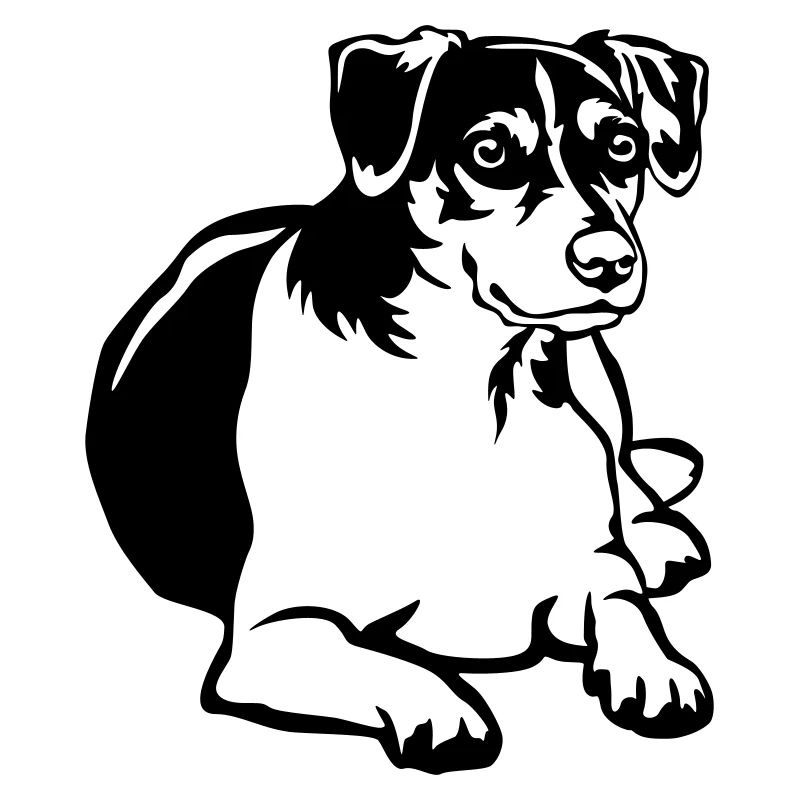 Dansk Svensk Gaardhond