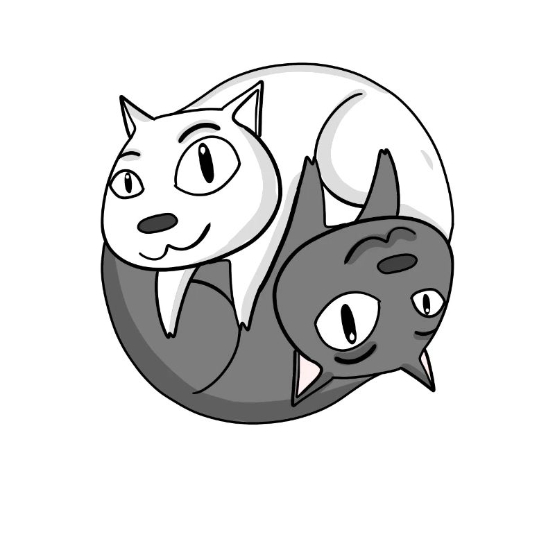 Chat Yin Yang