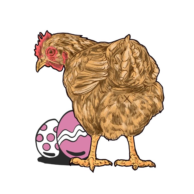 Chicken, Poultry, Poultry, Eggs, Egg, Easter, Easter Egg