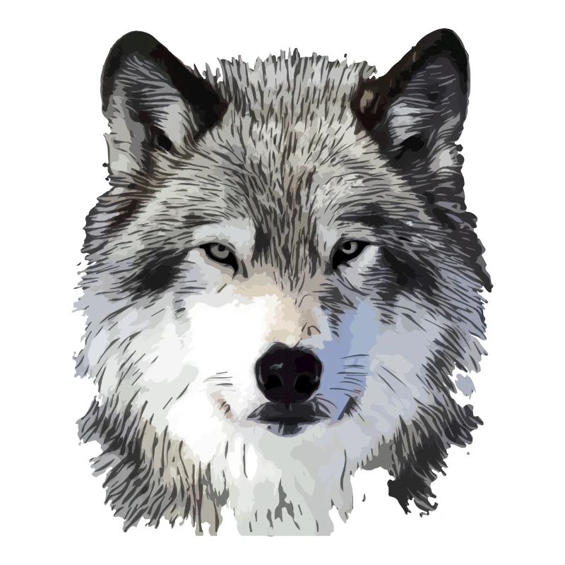 Le Loup