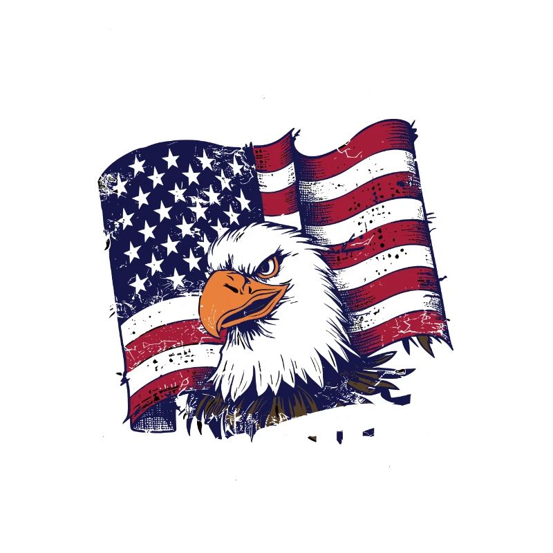 WTF is a kilometer America Eagle US Flag Funny