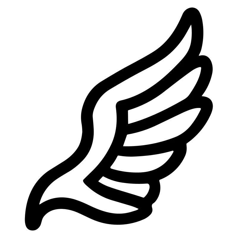 Ailes d'ange