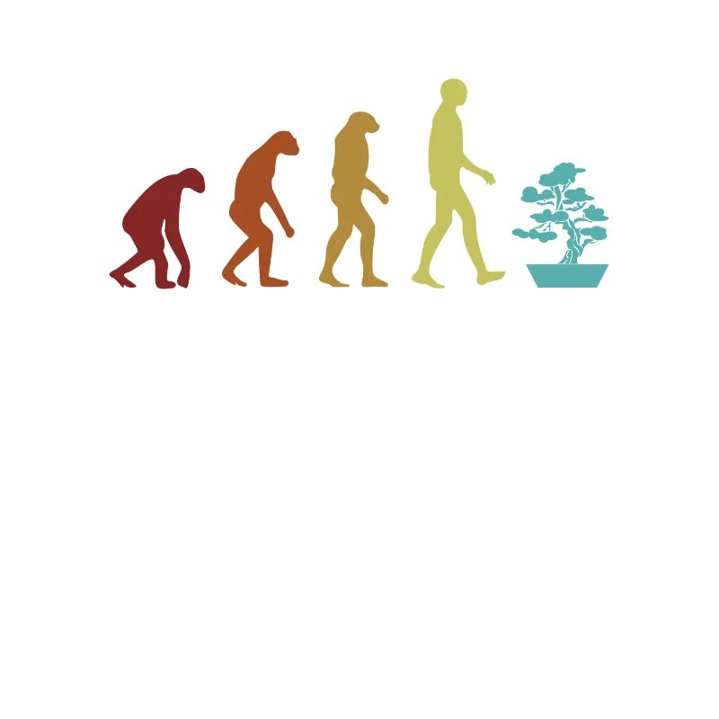 Bonsaï Evolution Penjing Bonsaï d’intérieur Bonsaï