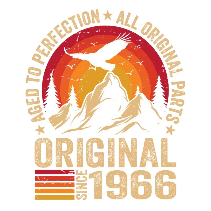 Original 1966 Vintage 1966 Anniversary 1966 Retro