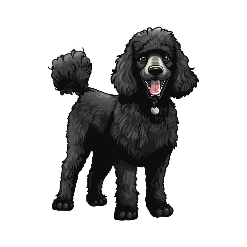 Poodle Dog