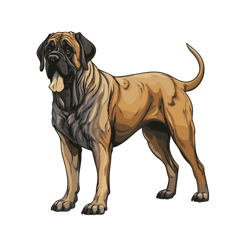 Mastiff Dog