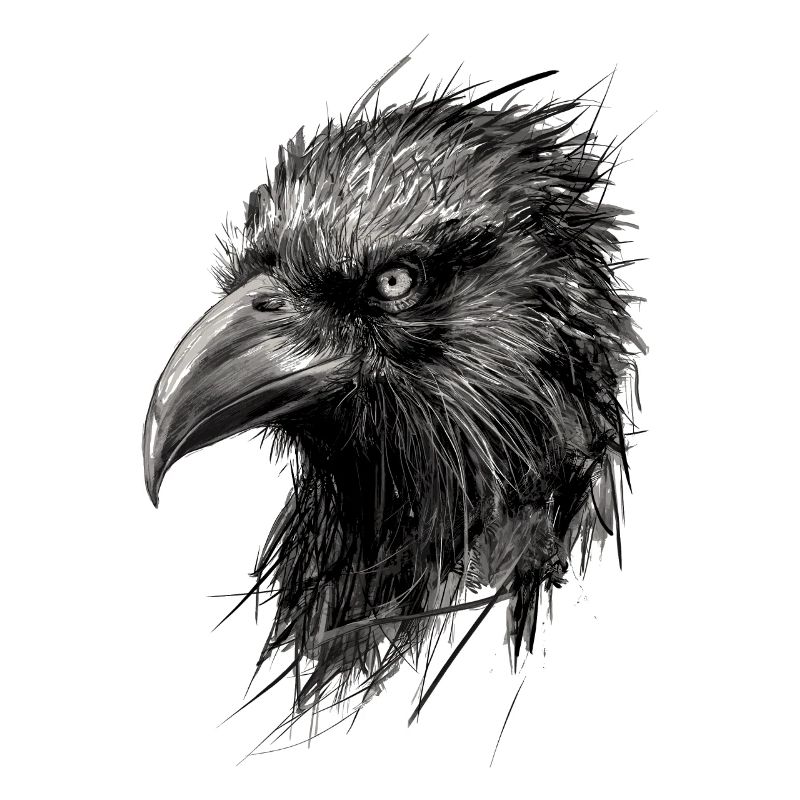 Raven Drawing Abstract Illustration