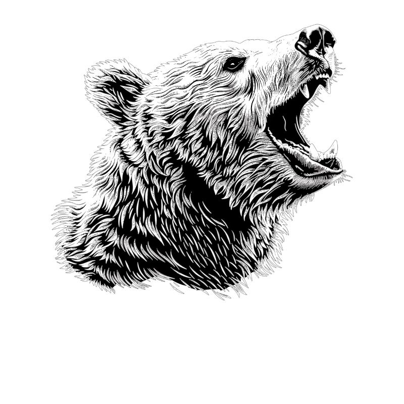 Bear Bären Bär