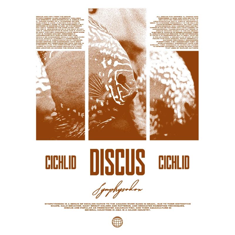 Discus Cichlidé Aquarium Fish Keeper