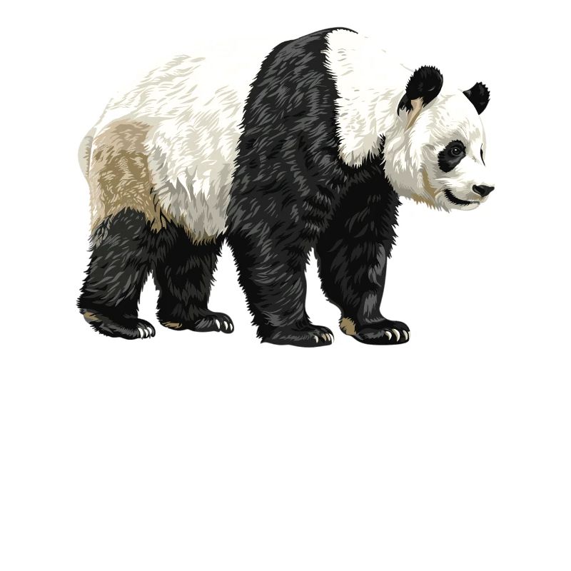 Panda géant Pandas Große Pandas Großer Panda