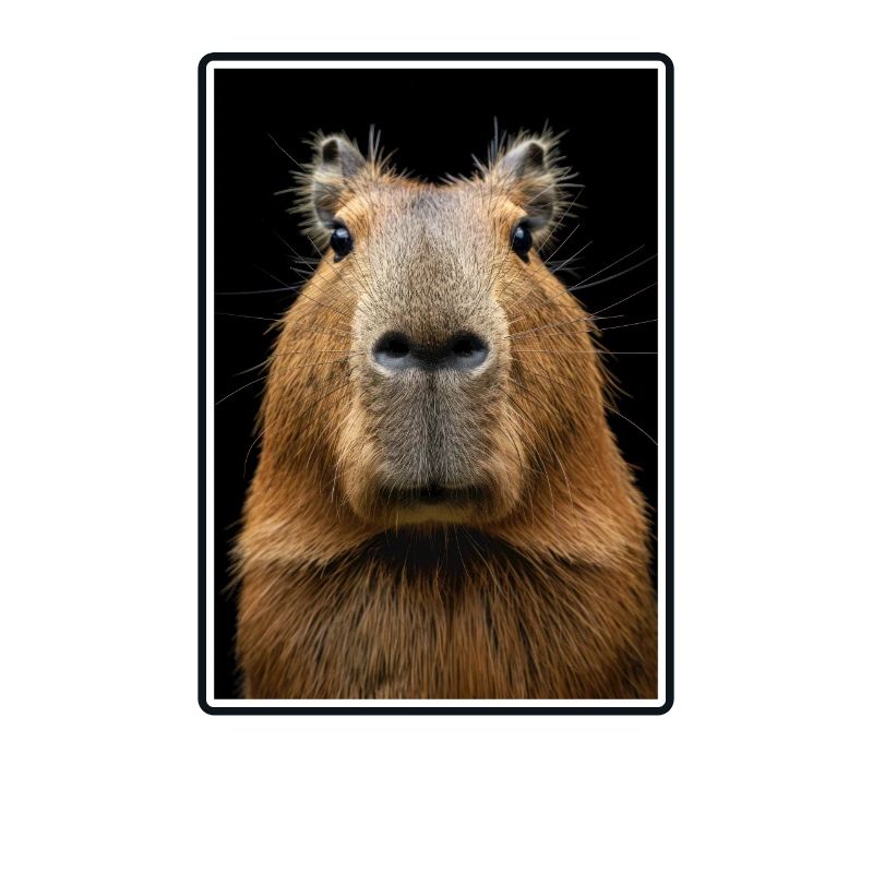 Capybaras Capybara