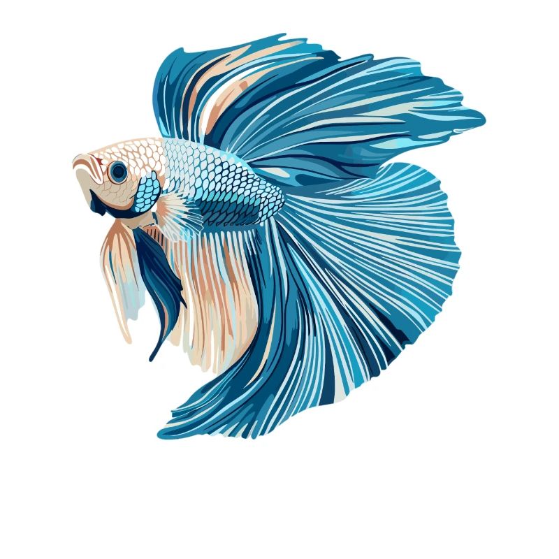 Bettas Betta Fish Betta