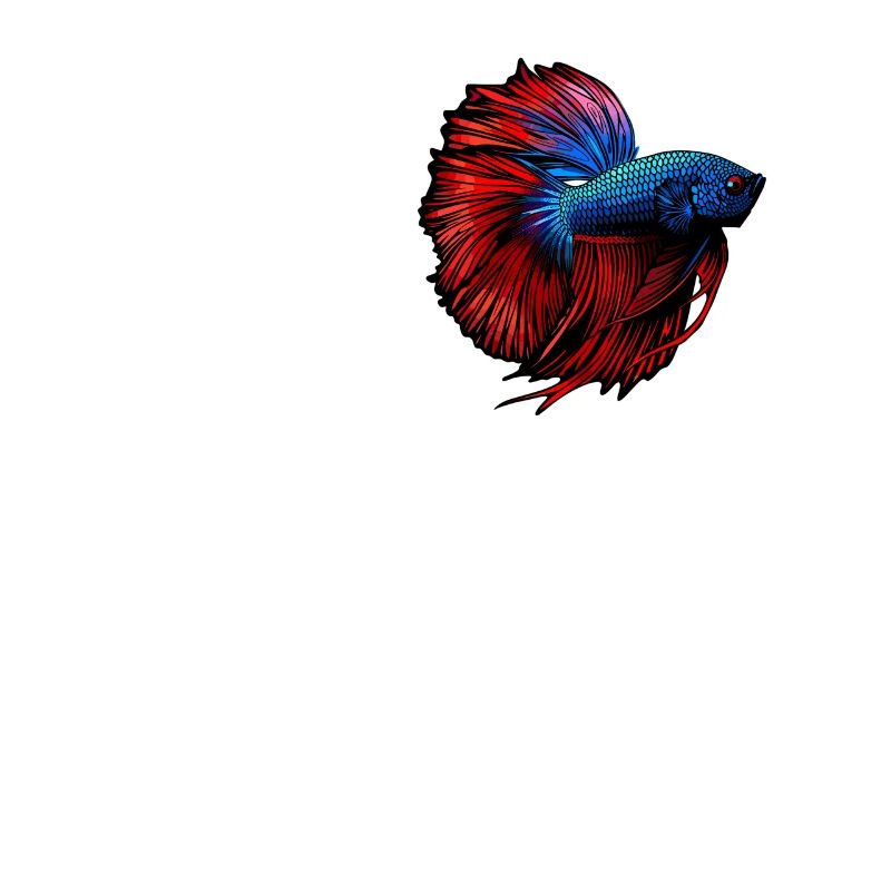 Bettas Betta Poisson Betta