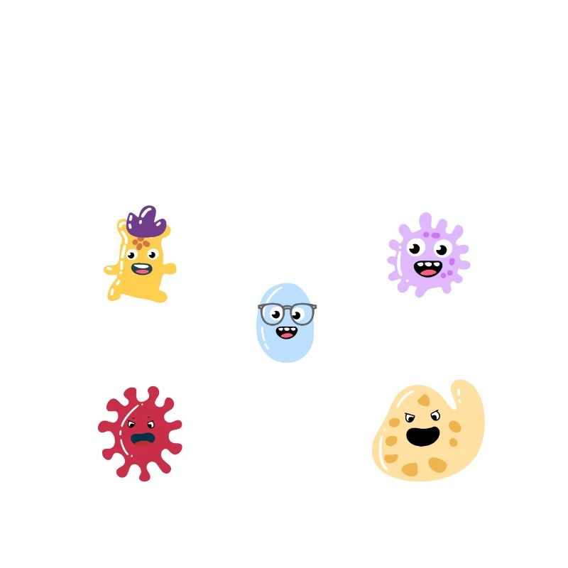Zellen des Immunsystems