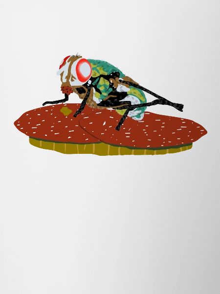 Fliege auf Salamibrot