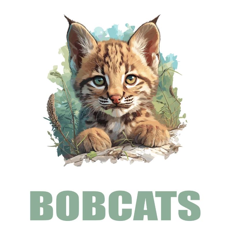 Bobcats Rotluchse Rotluchs Luchs