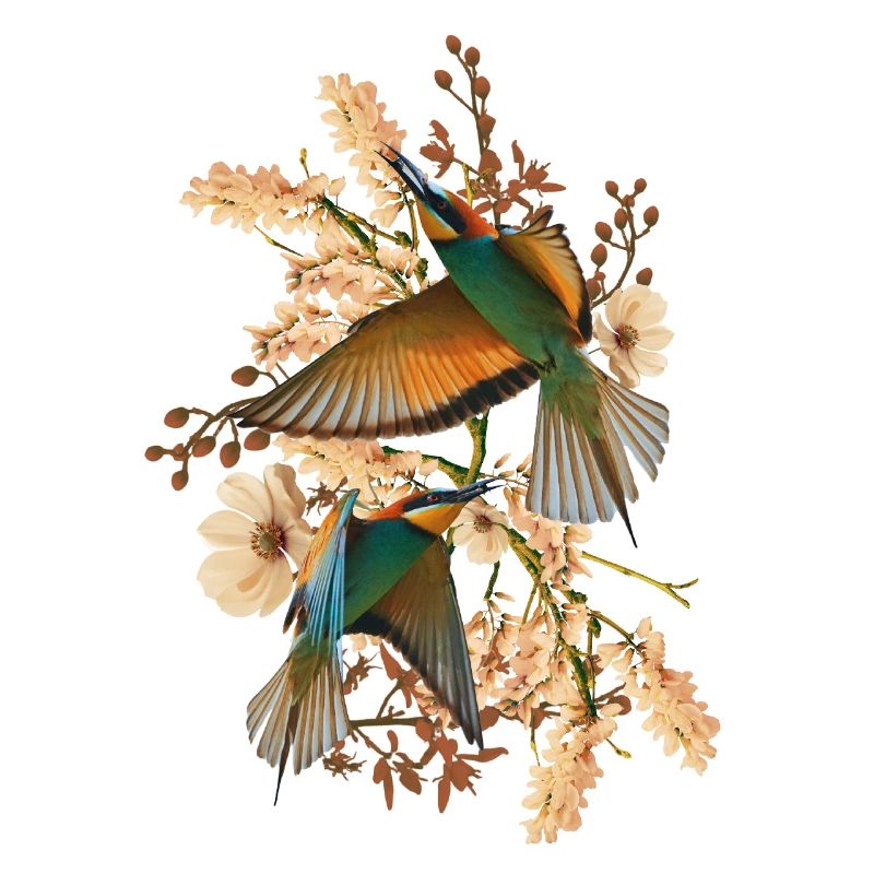 Nature Collage