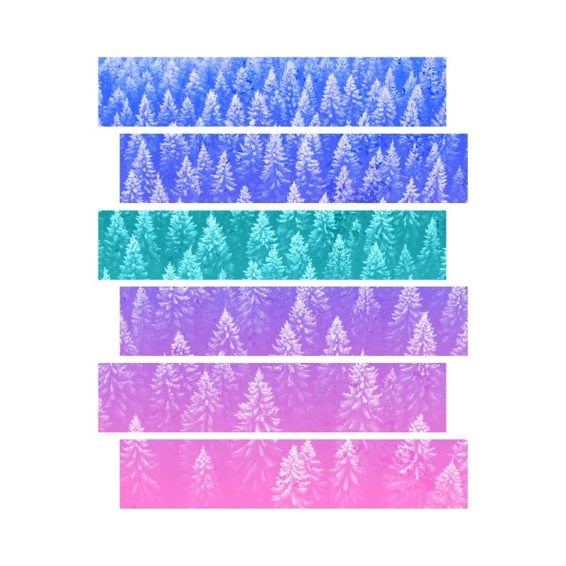 Sapin