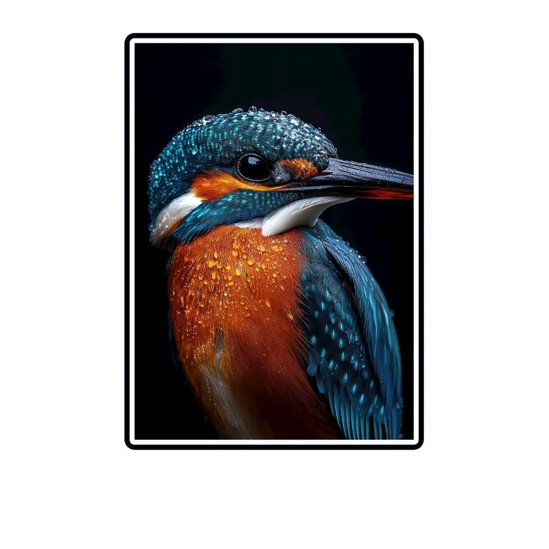 Eisvögel Eisvogel