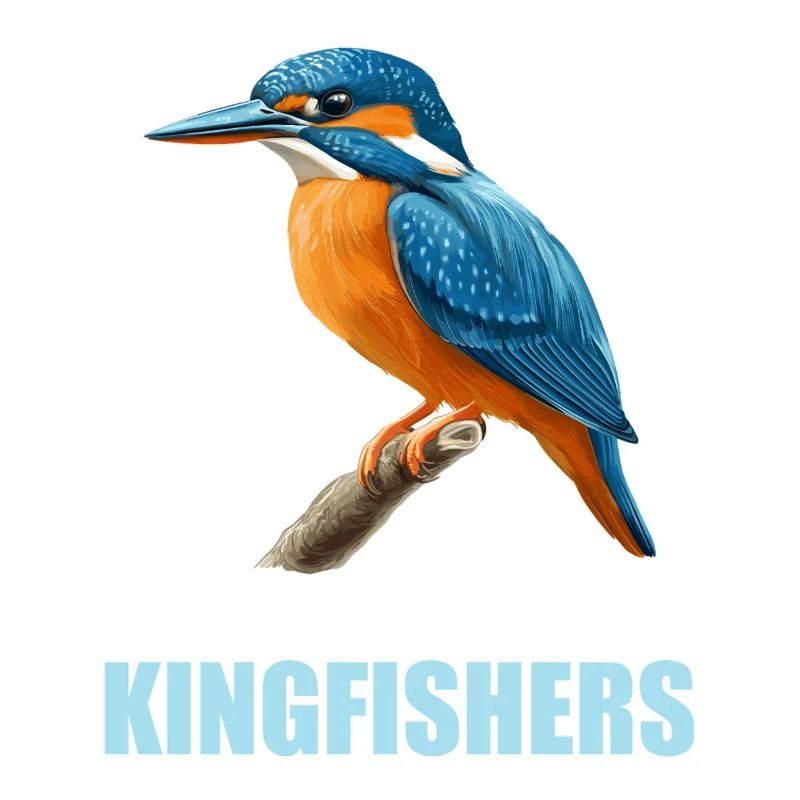 Eisvögel Eisvogel