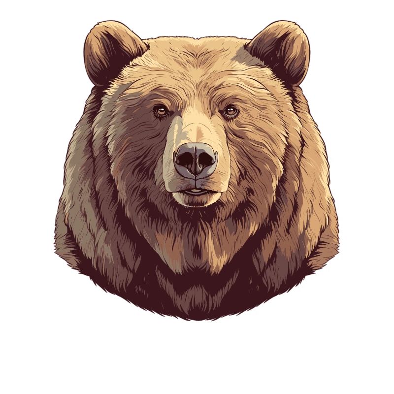 Kodiak Bear Kodiak Bear
