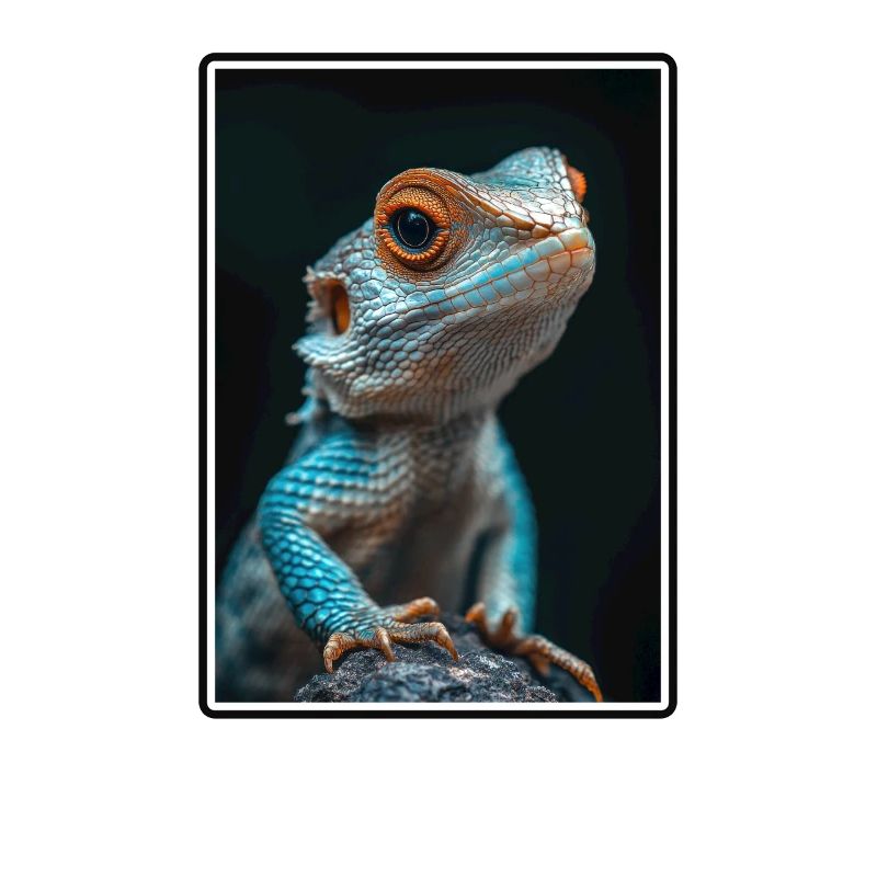 Lizards Lizard