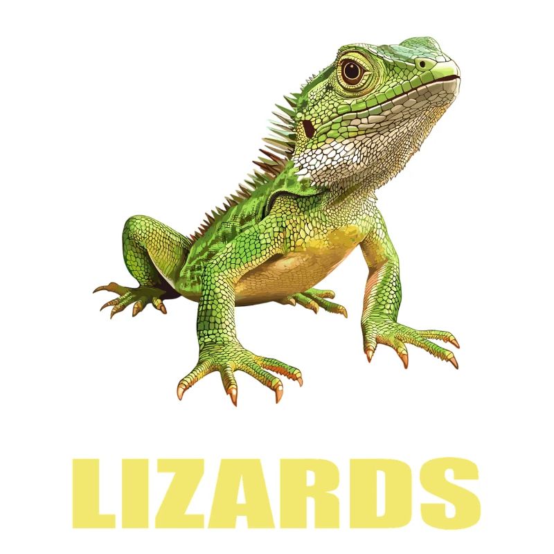 Lizards Lizard