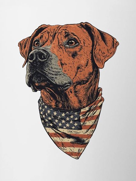 Rhodesian Ridgeback