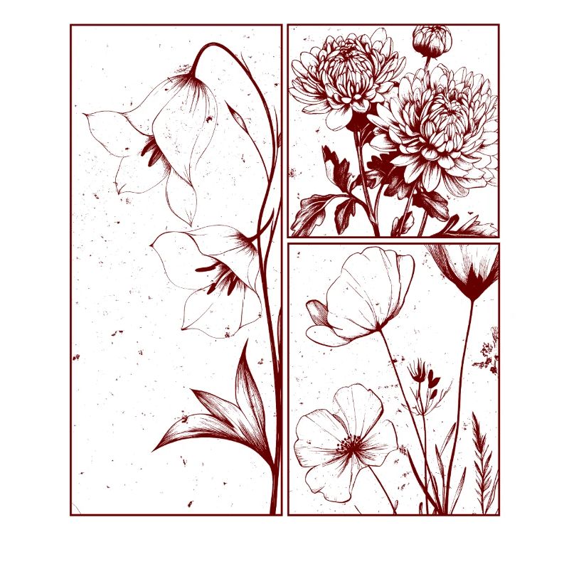 Campanula Chrysantheme Blumen Botanik Geschenk