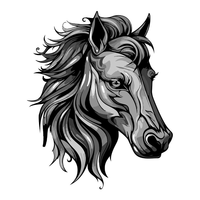 Pferd Portrait