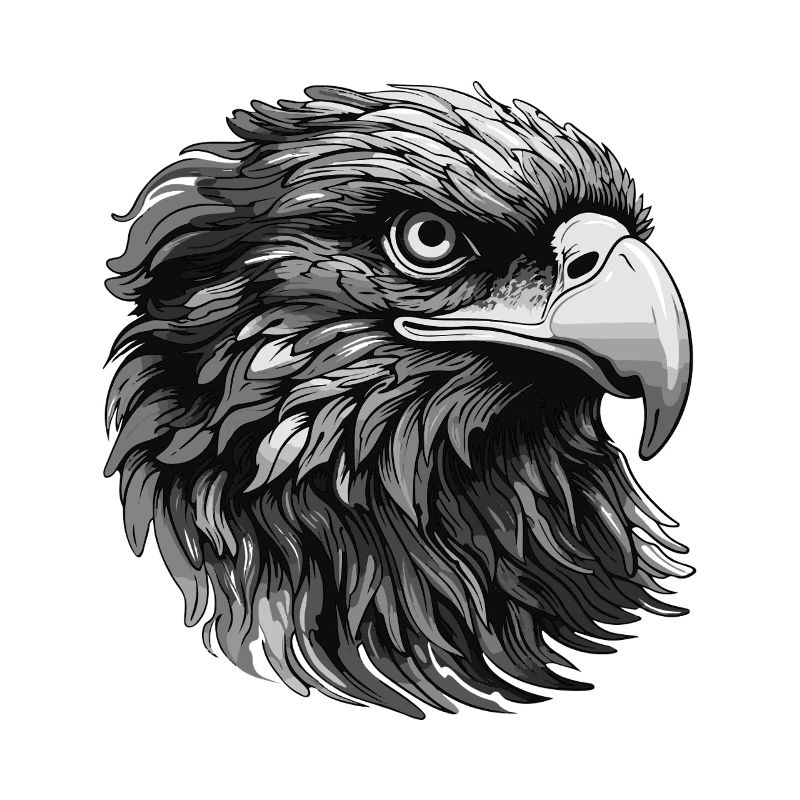 Eagle Portrait