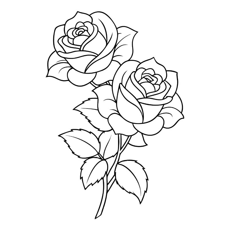Roses - Fleurs - Fleurs - Dicton
