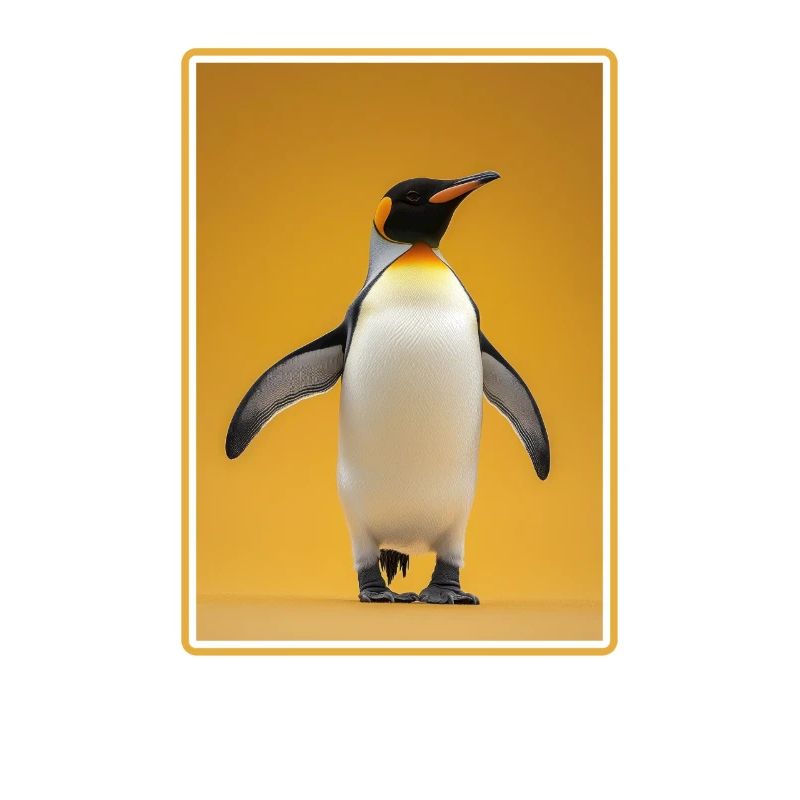 Pinguine Pinguin