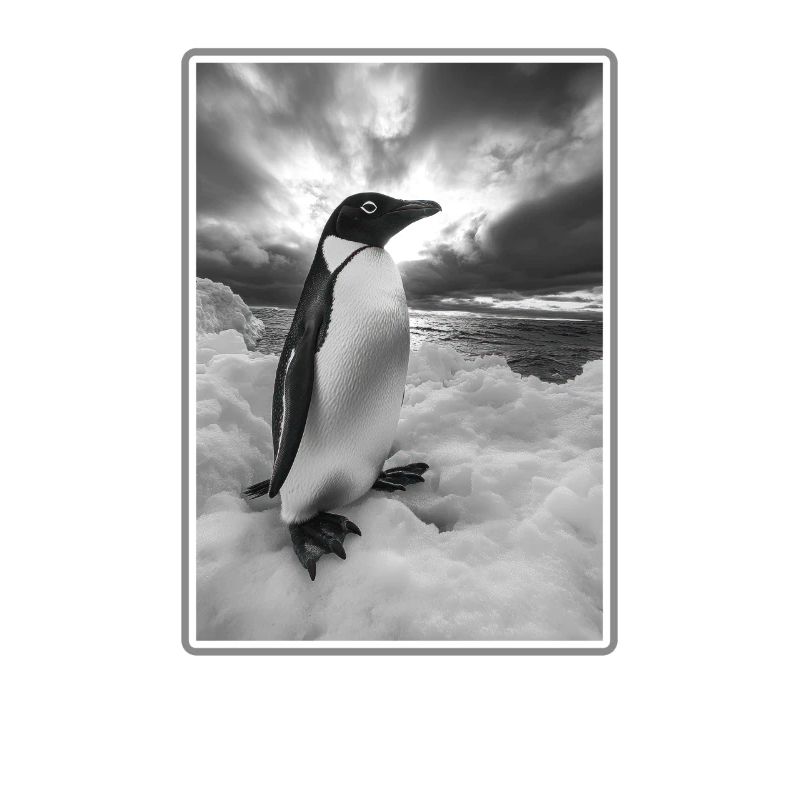 Pinguine Pinguin