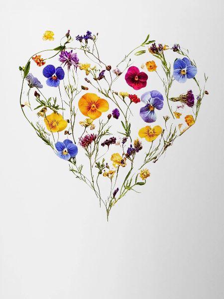 Heart of delicate blossoms - Spring-like