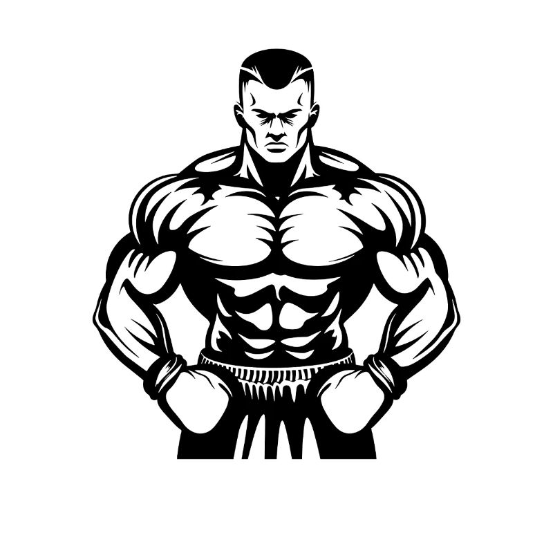 Boxer Drawing