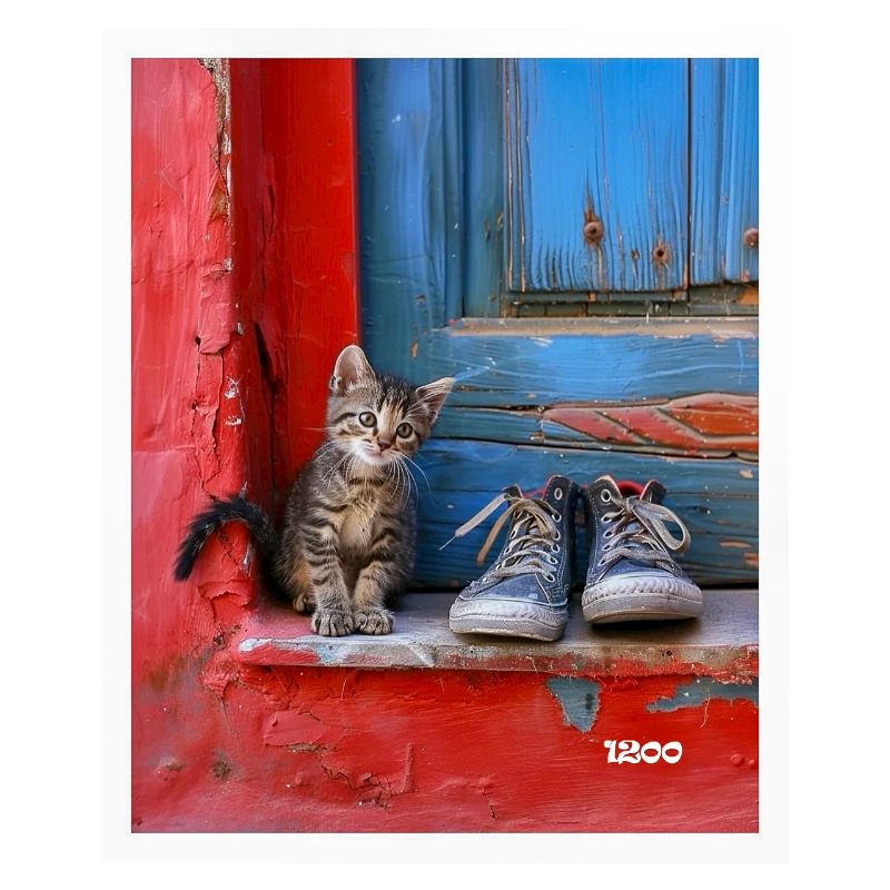 chat doux