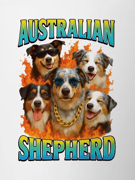 Australischer Schäferhund